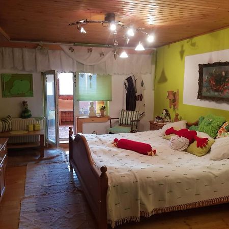Littel Green Old Home Sighişoara Dış mekan fotoğraf