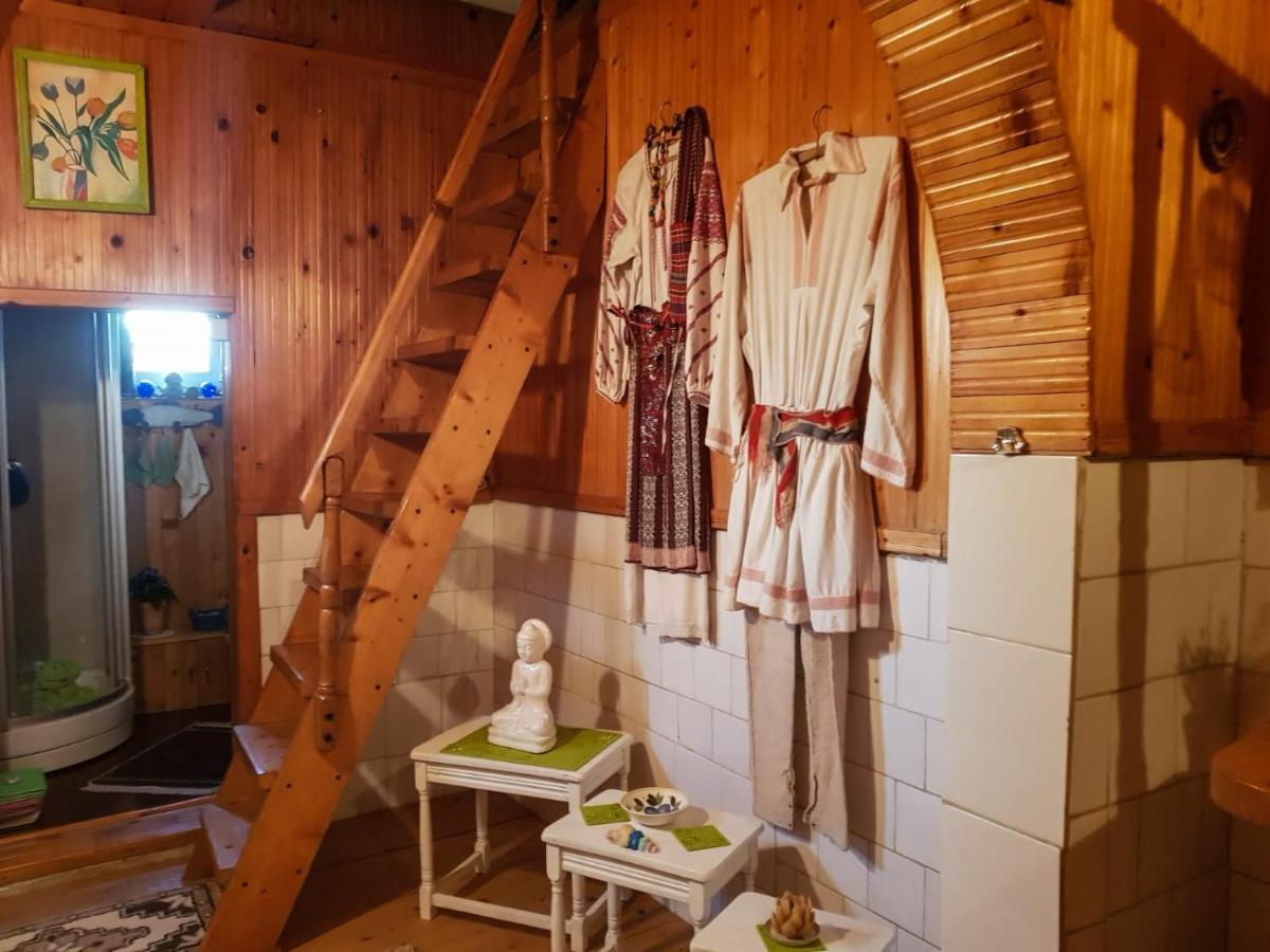 Littel Green Old Home Sighişoara Dış mekan fotoğraf