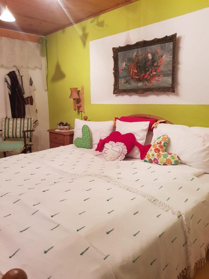 Littel Green Old Home Sighişoara Dış mekan fotoğraf