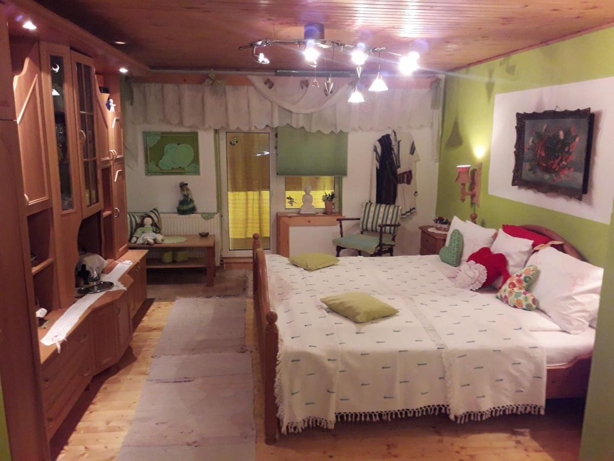 Littel Green Old Home Sighişoara Dış mekan fotoğraf