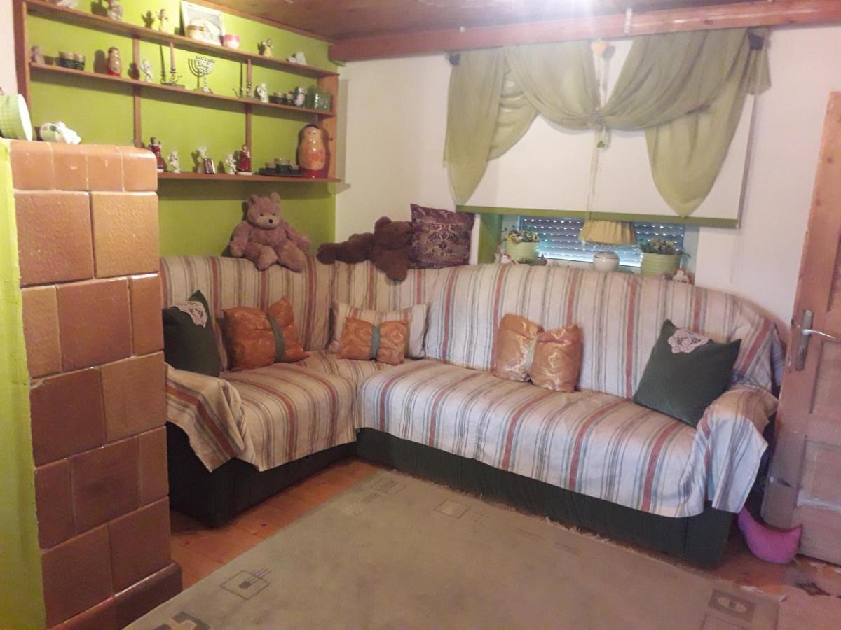 Littel Green Old Home Sighişoara Dış mekan fotoğraf