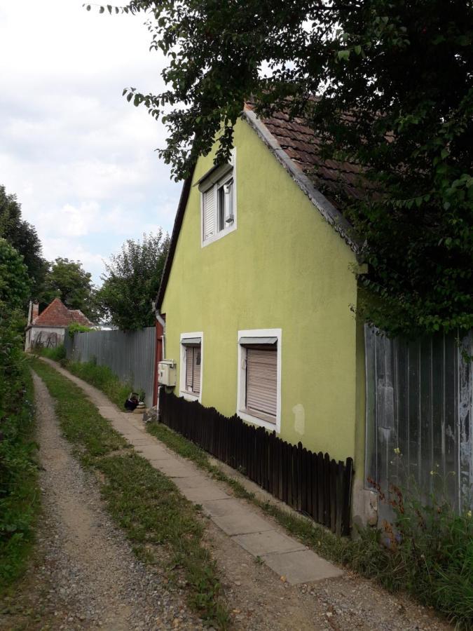 Littel Green Old Home Sighişoara Dış mekan fotoğraf