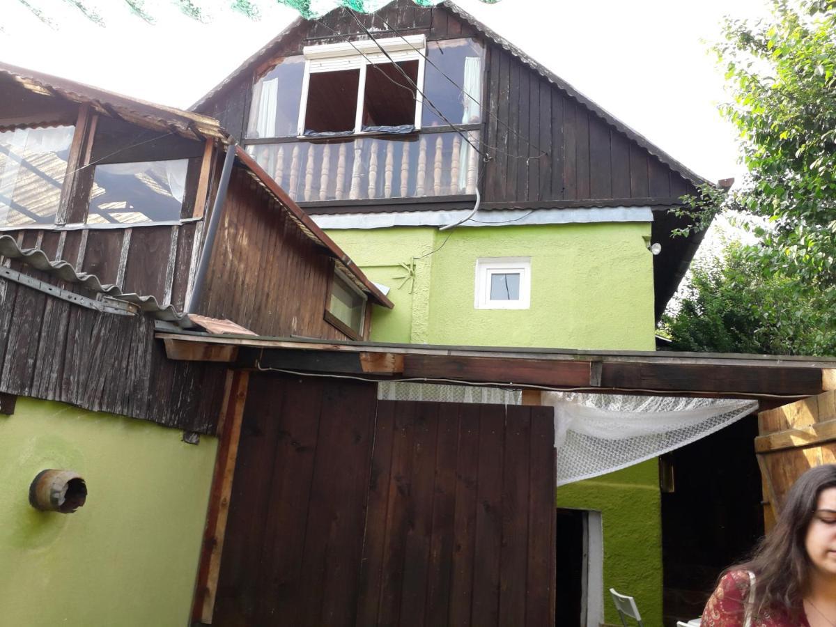 Littel Green Old Home Sighişoara Dış mekan fotoğraf