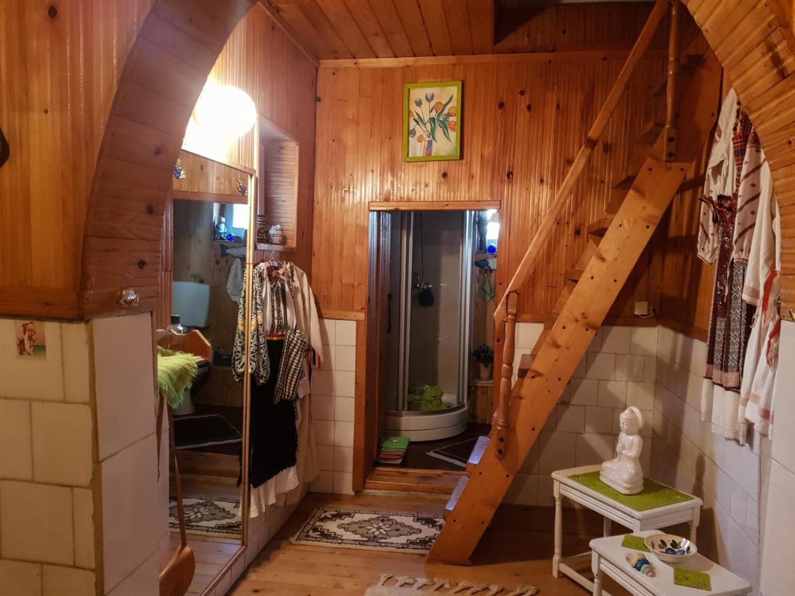 Littel Green Old Home Sighişoara Dış mekan fotoğraf